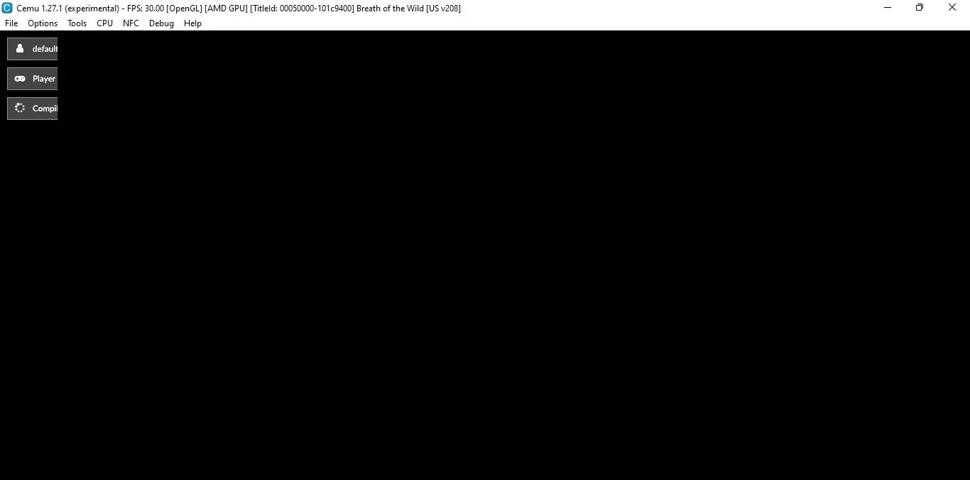 Black Screen Issue